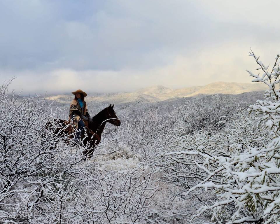 Snow in Tucson